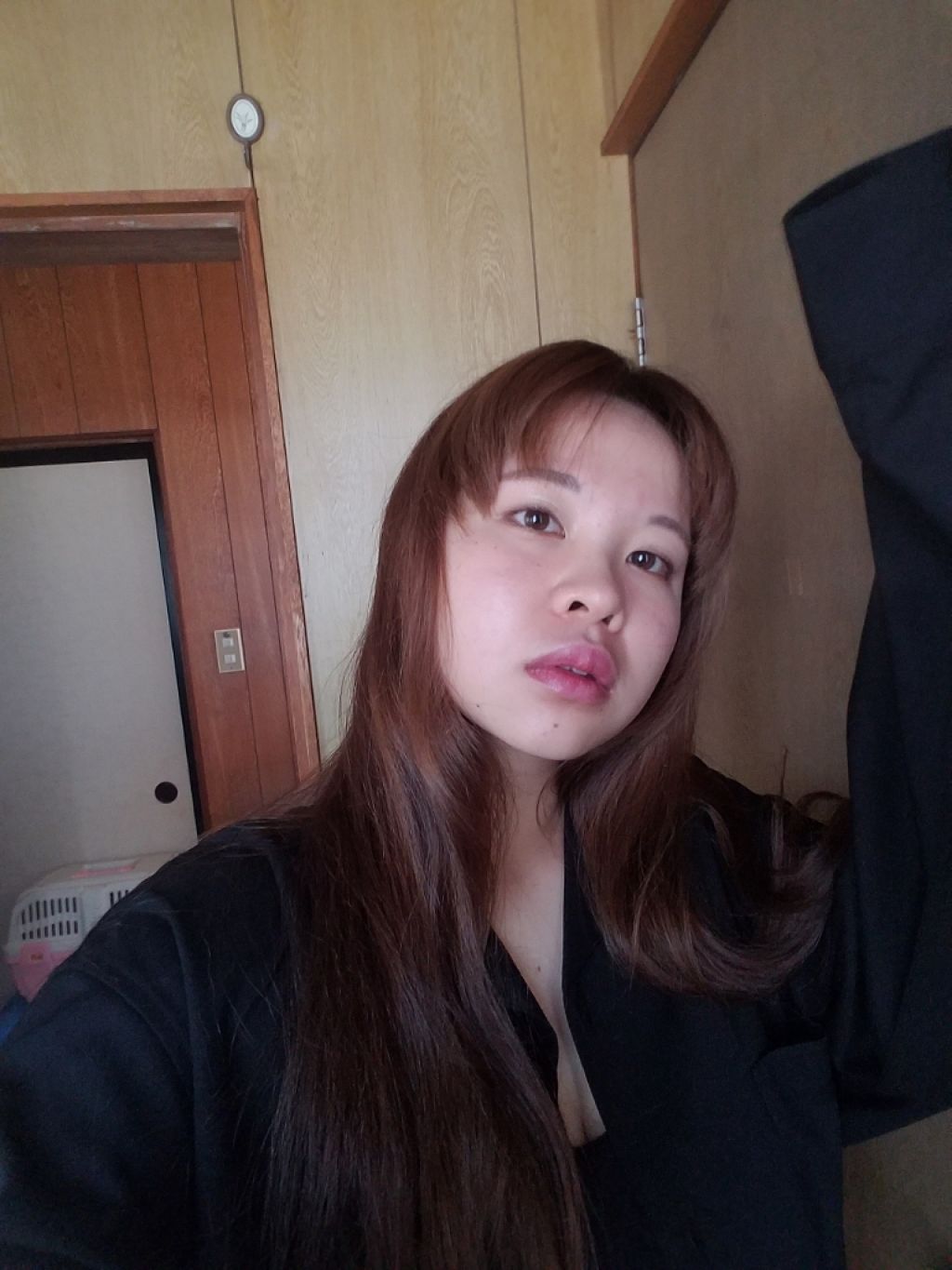 【旧品】パーフェクトスタイリストアイズ/キャンメイク/アイシャドウパレットを使ったクチコミ（1枚目）