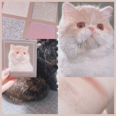 ＼何猫女子になる🐈‍⬛ ͗?♡／ 




Venus Marble アイシャドウ猫シリーズ

エキゾチックショートヘアー 

👛1540円


.


〝VenusMarble” デザイナーを担当している方が
愛猫家で女性と猫、意外と酷似している部分に気付き猫の力を借りて秘める思いや性格を色彩で表現したのがこのパレットです。


2色マット2色パールで実用性重視の配色✊🏻 ̖́-


めちゃめちゃパケもカラーもかんわいくて
絶対買うって決めてました。♡⸝⸝‪

愛猫と同じ種類を購入したよ.ᐟ‪
黒猫ちゃんもあれば揃うWWWW(雑種)

思ってたよりもコンパクトでミラー付き。
パケが箱っぽいので汚れやすさはあるかも、?

♡ 愛らしさ
♡ 可愛らしさ
♡ 優しさ

それぞれの性格を色彩で表現した4色パレット🎨

エキゾちゃんは温和で好奇心旺盛。
基本は人懐っこい性格みたい꒰ᐡ ̳ᴗ  ̫ ᴗ ̳ᐡ꒱💗

うちの子も温厚👶🏻めっちゃごはんすきでよく食べる👶🏻WWW

やさしい柔らかいカラーになっていますね。

質感はマットが二種類、大粒ラメと小粒ラメ二種類になっていますᴗ ᴗ͈

猫好きさんには特におすすめです^×~×^♡

.

ぜひチェックしてみてくださいね.ᐟ‪

最後まで読んで下さりありがとうございます👏🏻 ̖́-

.


  #今月の購入品 #メガ割 #VenusMarble #コスメ好きさんと繋がりたい #パケ買い #アイシャドウ猫シリーズ #韓国コスメ #中国コスメ 





の画像 その0