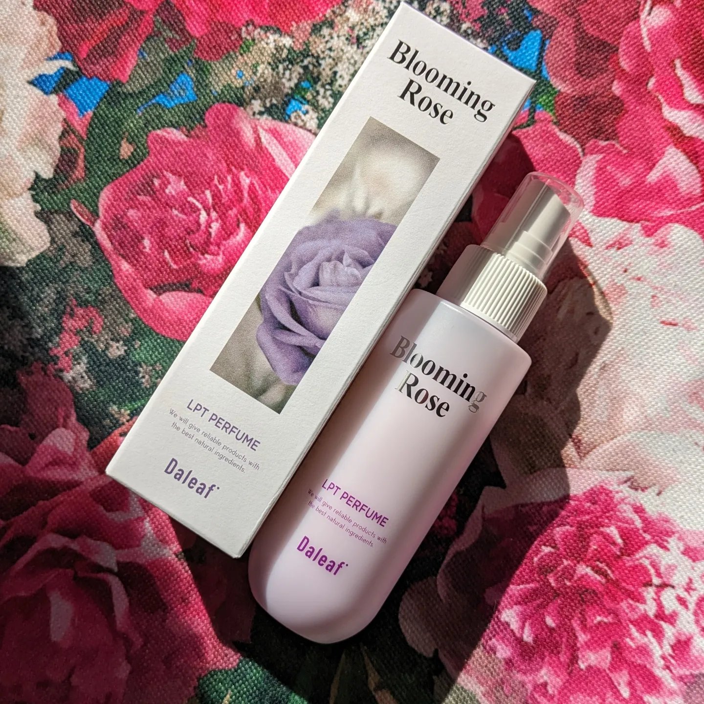 ヘアパック in ミスト/Daleaf/ヘアミルクを使ったクチコミ（3枚目）