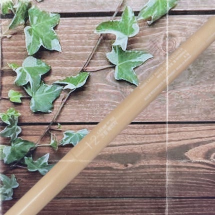 ラストパウダーペンシル/BBIA/ペンシルアイライナーを使ったクチコミ(1枚目)