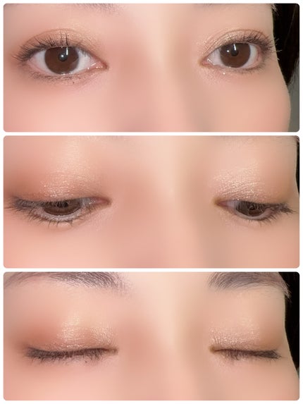 ベターミーアイパレット/2aN/マルチパレットを使ったクチコミ(2枚目)