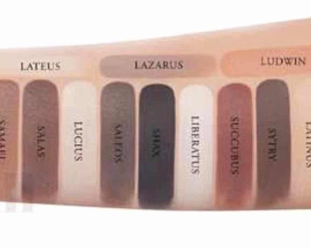 Shade +light eye contour palette/Kat Von D/アイシャドウパレットを使ったクチコミ（3枚目）