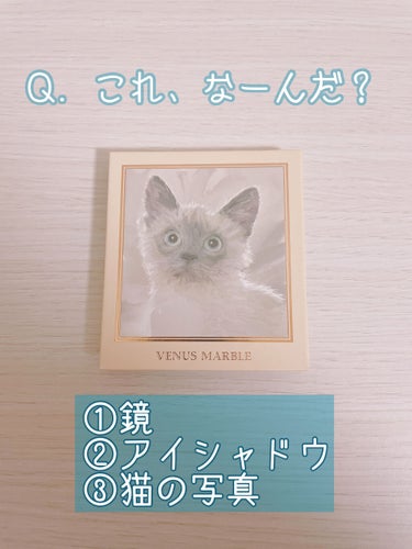 Venus Marble アイシャドウキャットシリーズ シャム猫/Venus Marble/アイシャドウパレットを使ったクチコミ（1枚目）