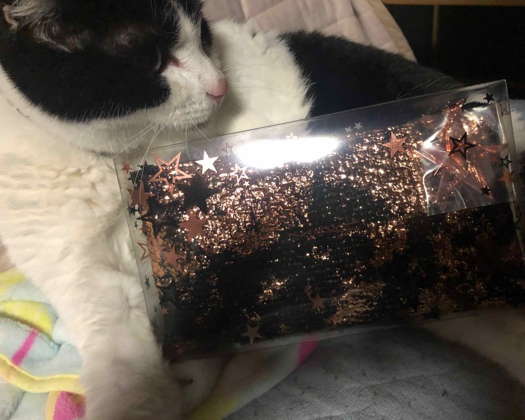 スプリンクル オブ シャイン キット:ピンク/M・A・C/メイクアップキットを使ったクチコミ(1枚目)