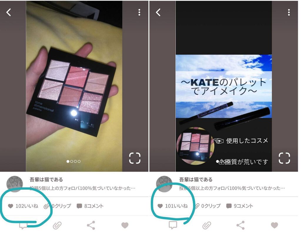 吾輩は猫である on LIPS 「こんにちはこんばんは((*ᐕ)*“吾輩は猫である”でぇす写真見..」(1枚目)