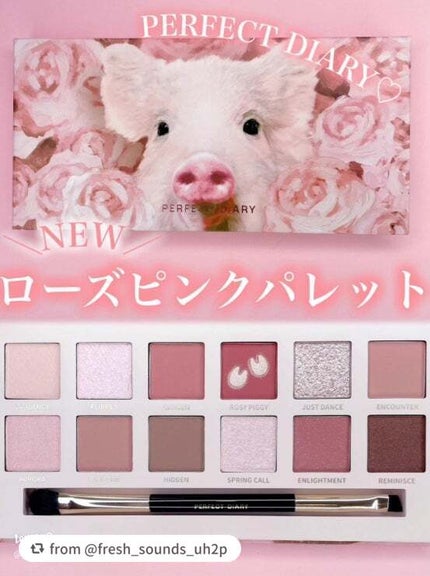 エクスプローラ12色 動物アイシャドウパレット/PERFECT DIARY/アイシャドウパレットを使ったクチコミ(1枚目)