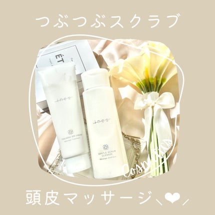 ジェントル スクラブ クレンズ/ines/市販シャンプーを使ったクチコミ(1枚目)