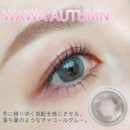 WaWa Series/Sisse Lens/カラーコンタクトレンズを使ったクチコミ(5枚目)