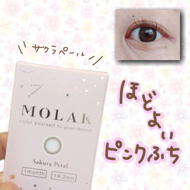 MOLAK 1month サクラペタル/MOLAK/１ヶ月（１MONTH）カラコンの画像