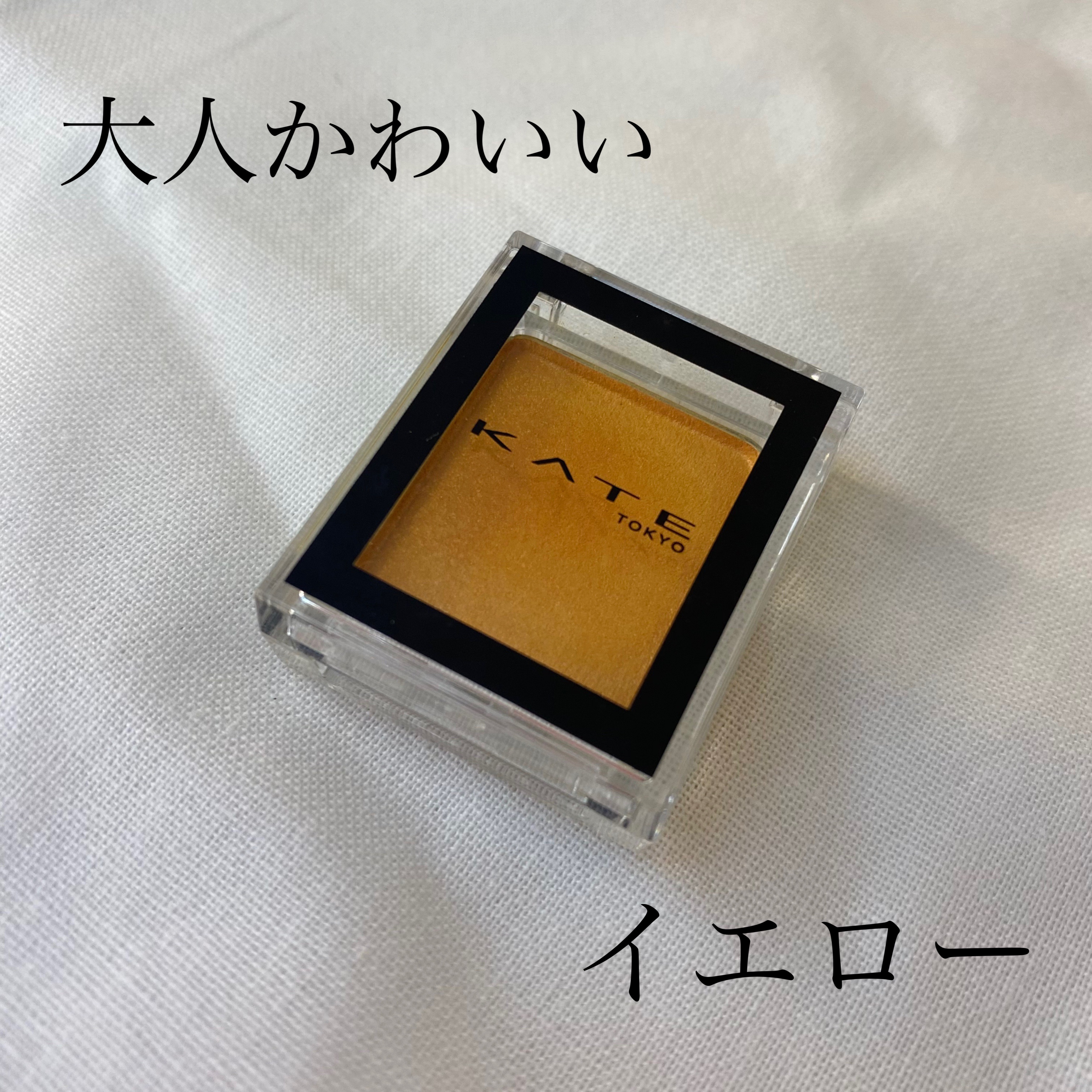 ケイト ザ アイカラー/KATE/単色アイシャドウを使ったクチコミ（1枚目）