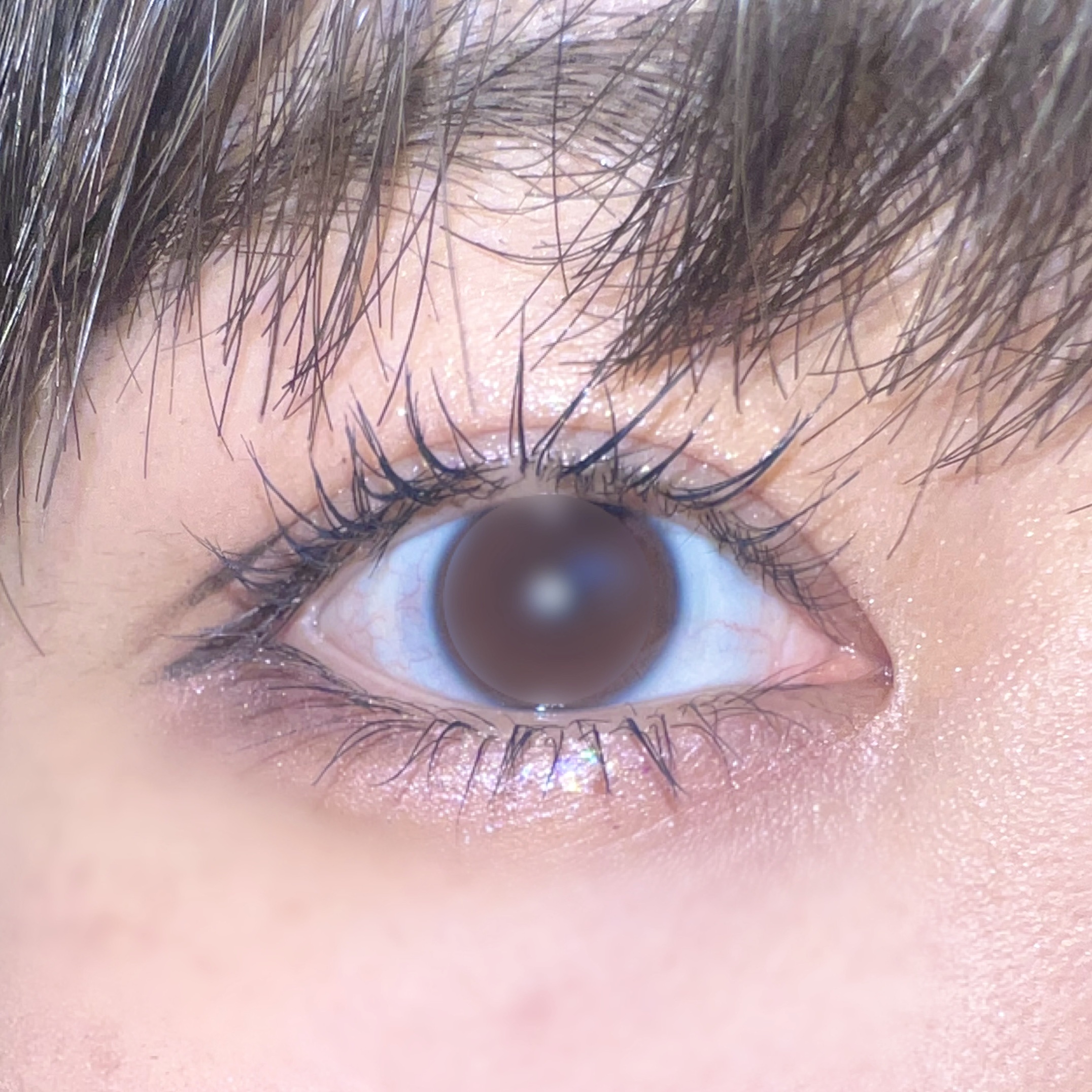 ウォンジョンヨ ヌードアイラッシュ/Wonjungyo/マスカラを使ったクチコミ（2枚目）