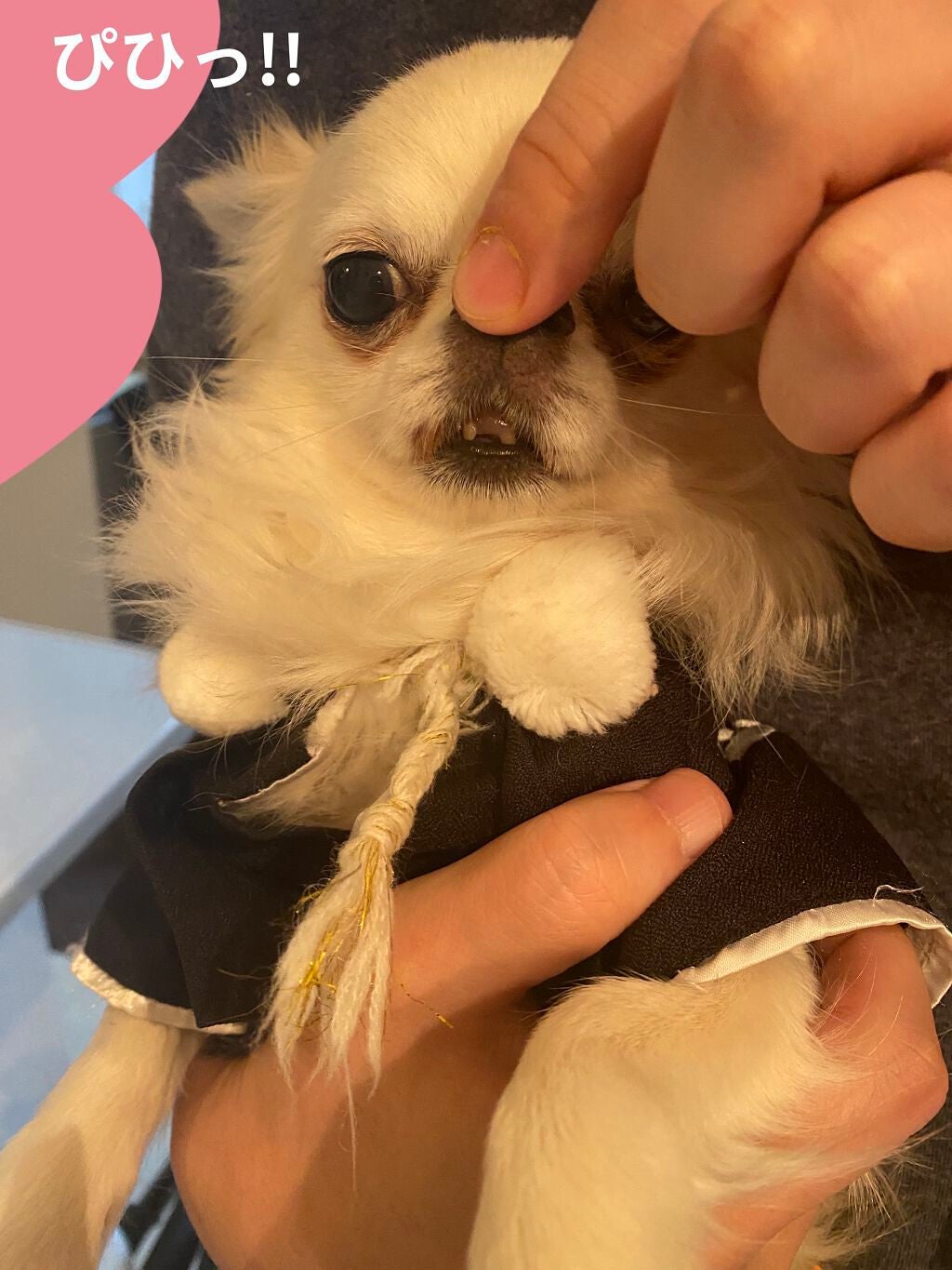 アイ カラー クォード/TOM FORD BEAUTY/アイシャドウパレットを使ったクチコミ(10枚目)