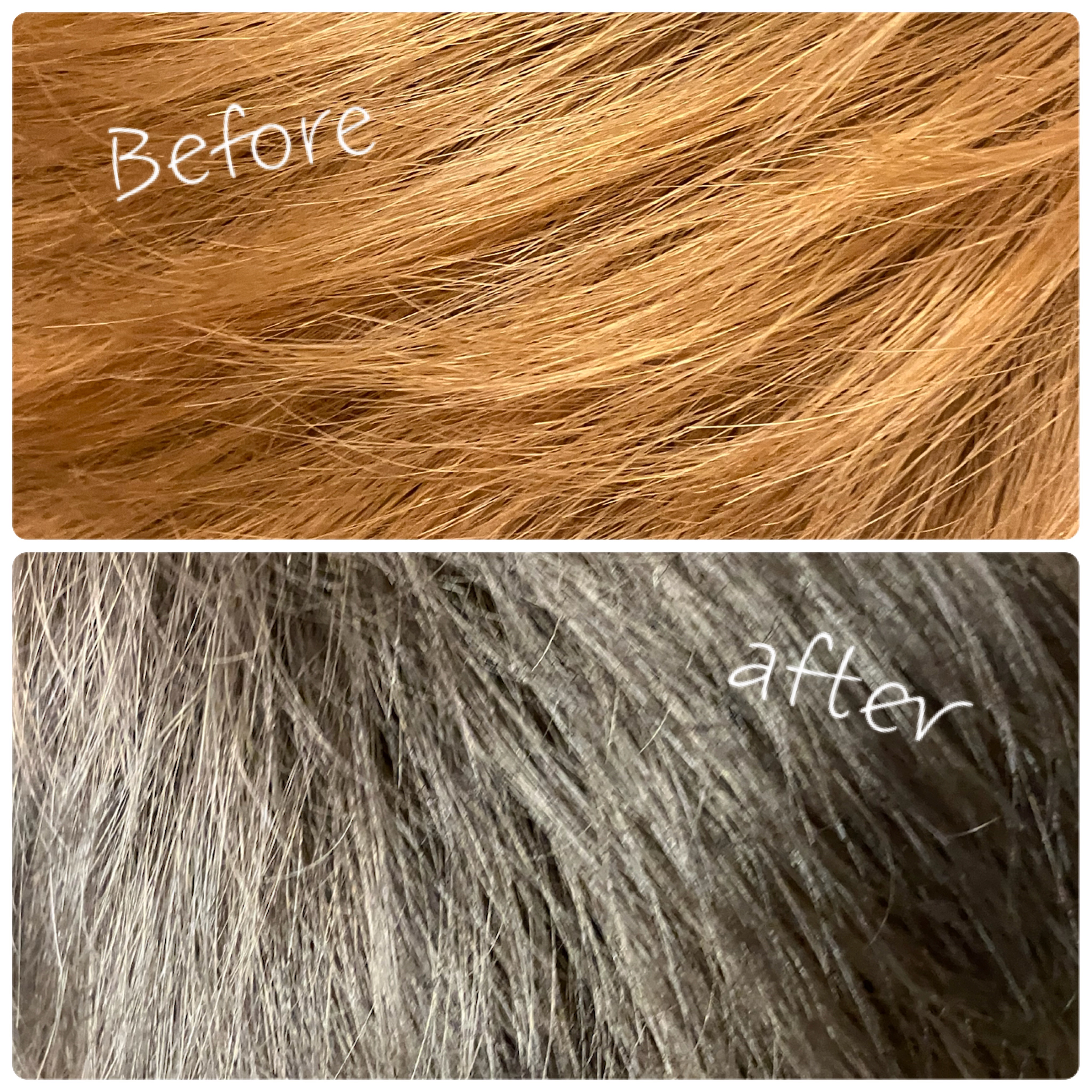 メイクアップカラー/ビューティーン/ヘアカラーを使ったクチコミ（2枚目）