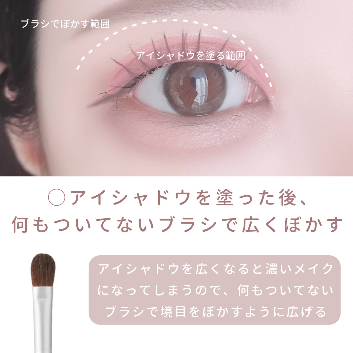 アイシャドウブラシセット/ロージーローザ/メイクブラシを使ったクチコミ(5枚目)