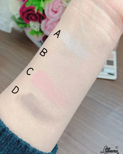 カラーパレット/パラドゥ/マルチパレットを使ったクチコミ(6枚目)