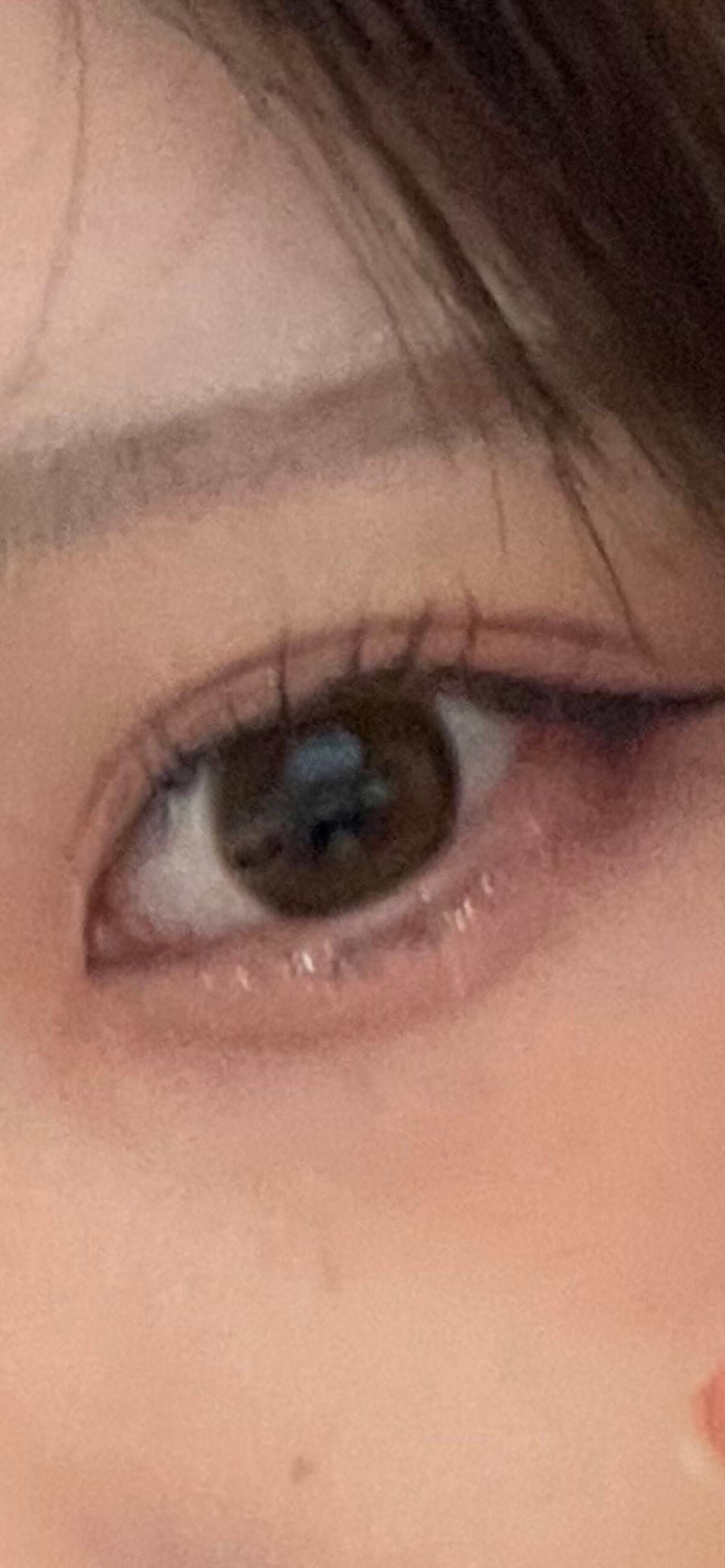 トーンアップアイシャドウ/CEZANNE/アイシャドウパレットを使ったクチコミ(1枚目)