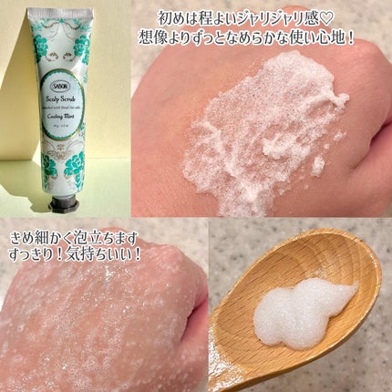 ヘッドスクラブ リフレッシング(ミント)/SABON/ヘッドスクラブを使ったクチコミ(4枚目)