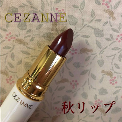 ラスティング リップカラーN/CEZANNE/口紅を使ったクチコミ(1枚目)