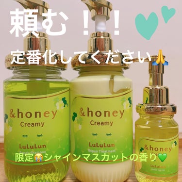 &honey アンドハニー

💚クリーミー ルルルン リペア ペアセット
💚クリーミー ルルルン リペア オイル

どちらもシャインマスカットの香り🥰


限定販売に気づくのが遅くて1カ月経ってしまい
