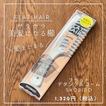 enami_beauty on LIPS 「🩵フラットヘア　デタングルコーム■参考価格1,320円（税込）..」（2枚目）