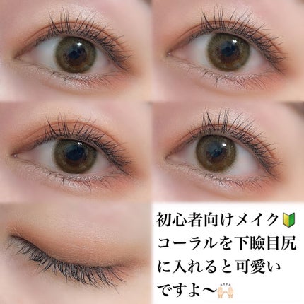 ロイヤルヴィンテージ アイズ/リンメル ロンドン/アイシャドウパレットを使ったクチコミ(7枚目)