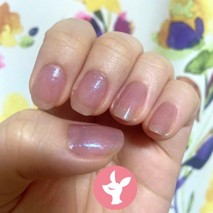 速乾性トップコート/DAISO/ネイルトップコートを使ったクチコミ(1枚目)