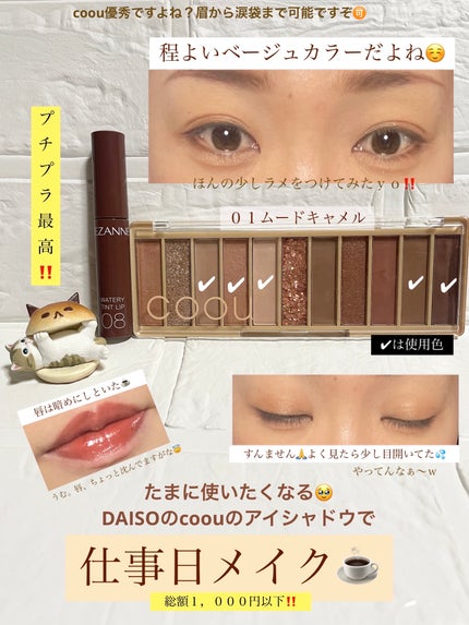 アイシャドウパレット/coou/アイシャドウパレットを使ったクチコミ(1枚目)