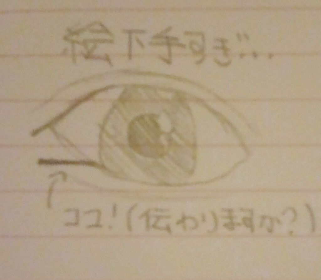 アイシャドウパレット/e.l.f. Cosmetics/アイシャドウパレットを使ったクチコミ（2枚目）