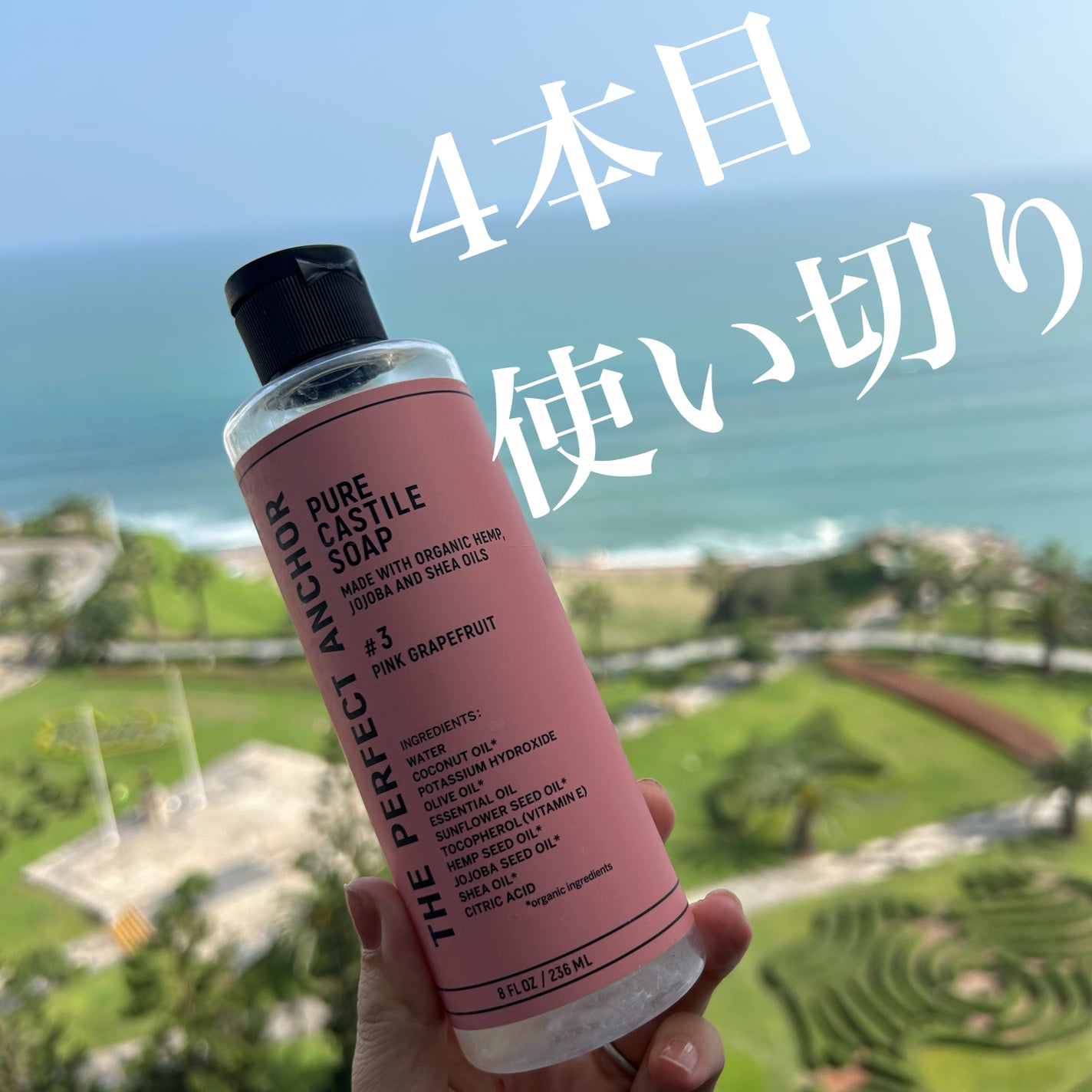 ザ・パーフェクトアンカー ピンクグレープフルーツ #3/THE PERFECT ANCHOR/ボディソープを使ったクチコミ(1枚目)