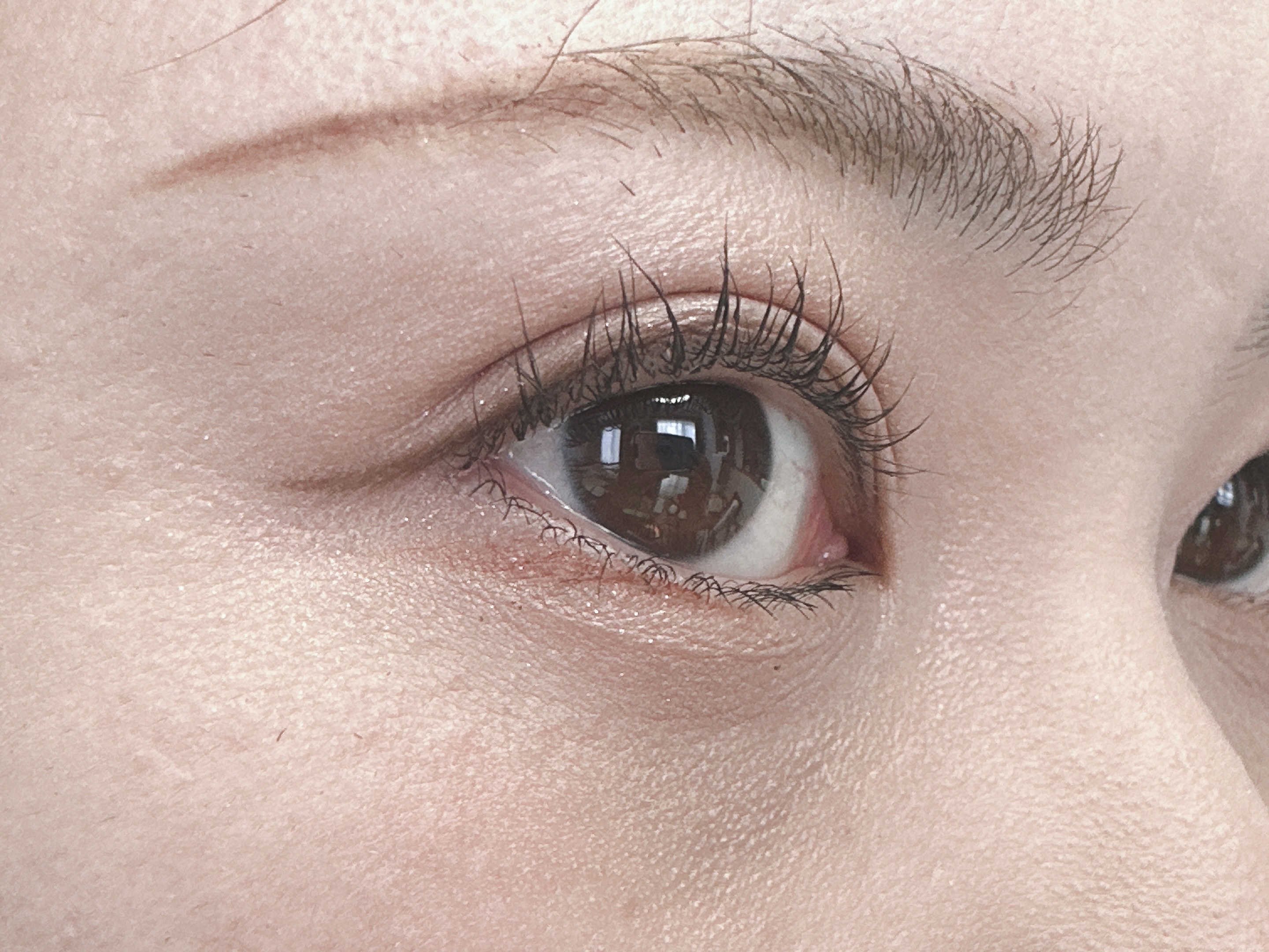 スリーディメンショナルアイズ/LUNASOL/アイシャドウパレットを使ったクチコミ（2枚目）