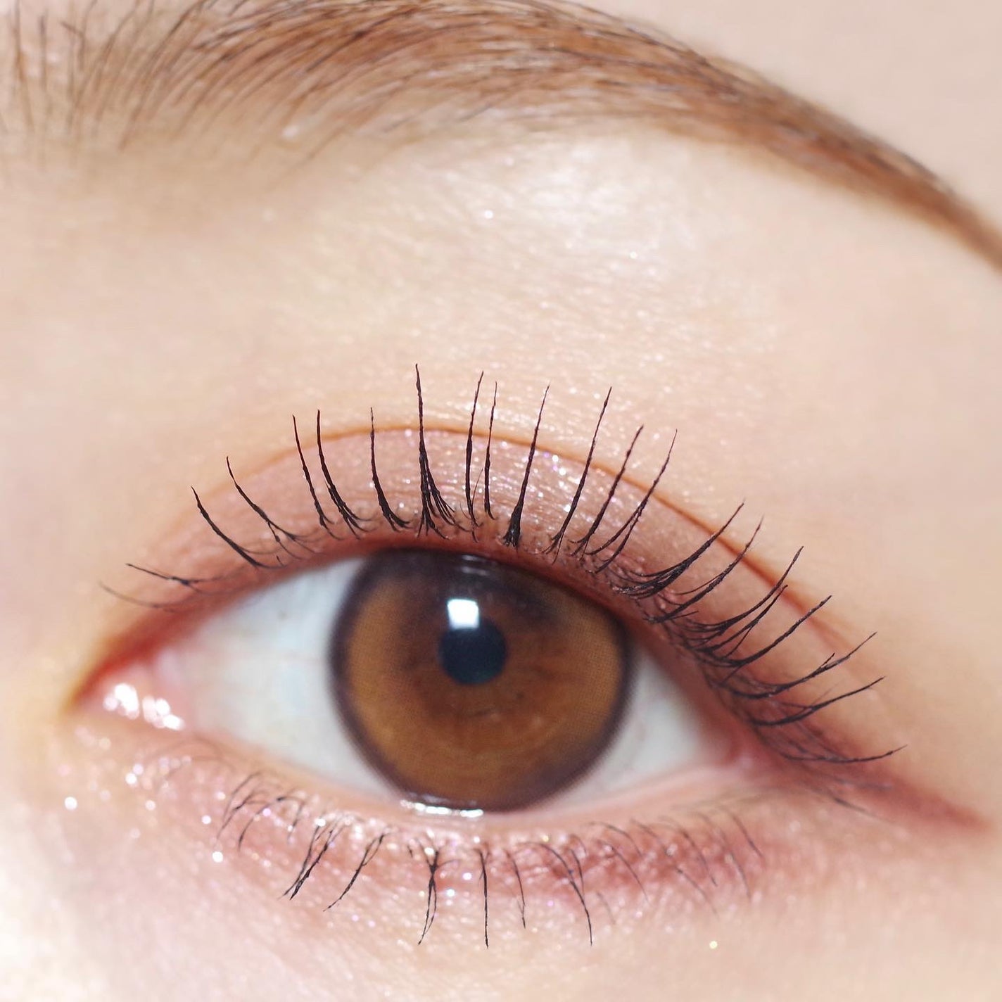 ビタートーンアイシャドウ/CEZANNE/パウダーアイシャドウを使ったクチコミ(2枚目)