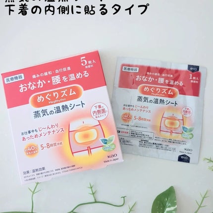 蒸気の温熱シート 下着の内側面に貼るタイプ/めぐりズム/その他を使ったクチコミ(1枚目)