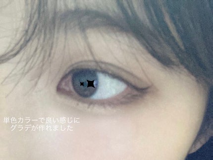 ケイト ザ アイカラー/KATE/単色アイシャドウを使ったクチコミ(5枚目)