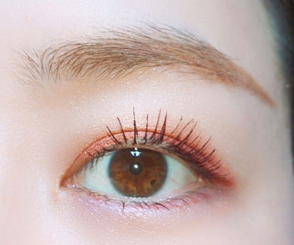 シングルカラーアイシャドウ/CEZANNE/単色アイシャドウを使ったクチコミ(1枚目)