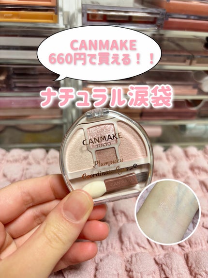 プランぷくコーデアイズNeo/キャンメイク/アイシャドウを使ったクチコミ(1枚目)