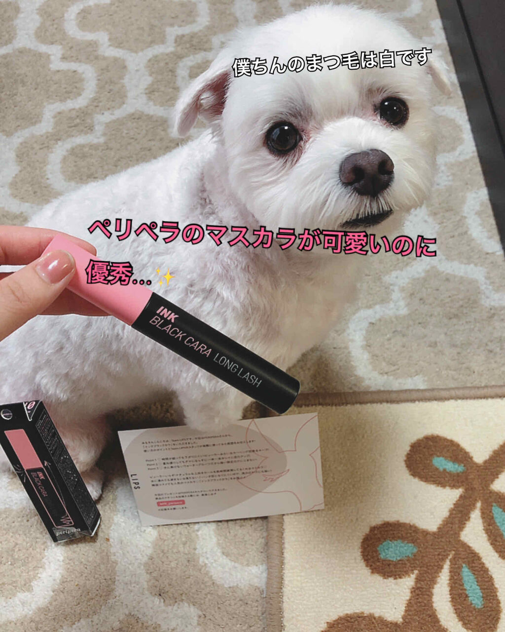 インク ブラック カラ/PERIPERA/マスカラを使ったクチコミ（1枚目）