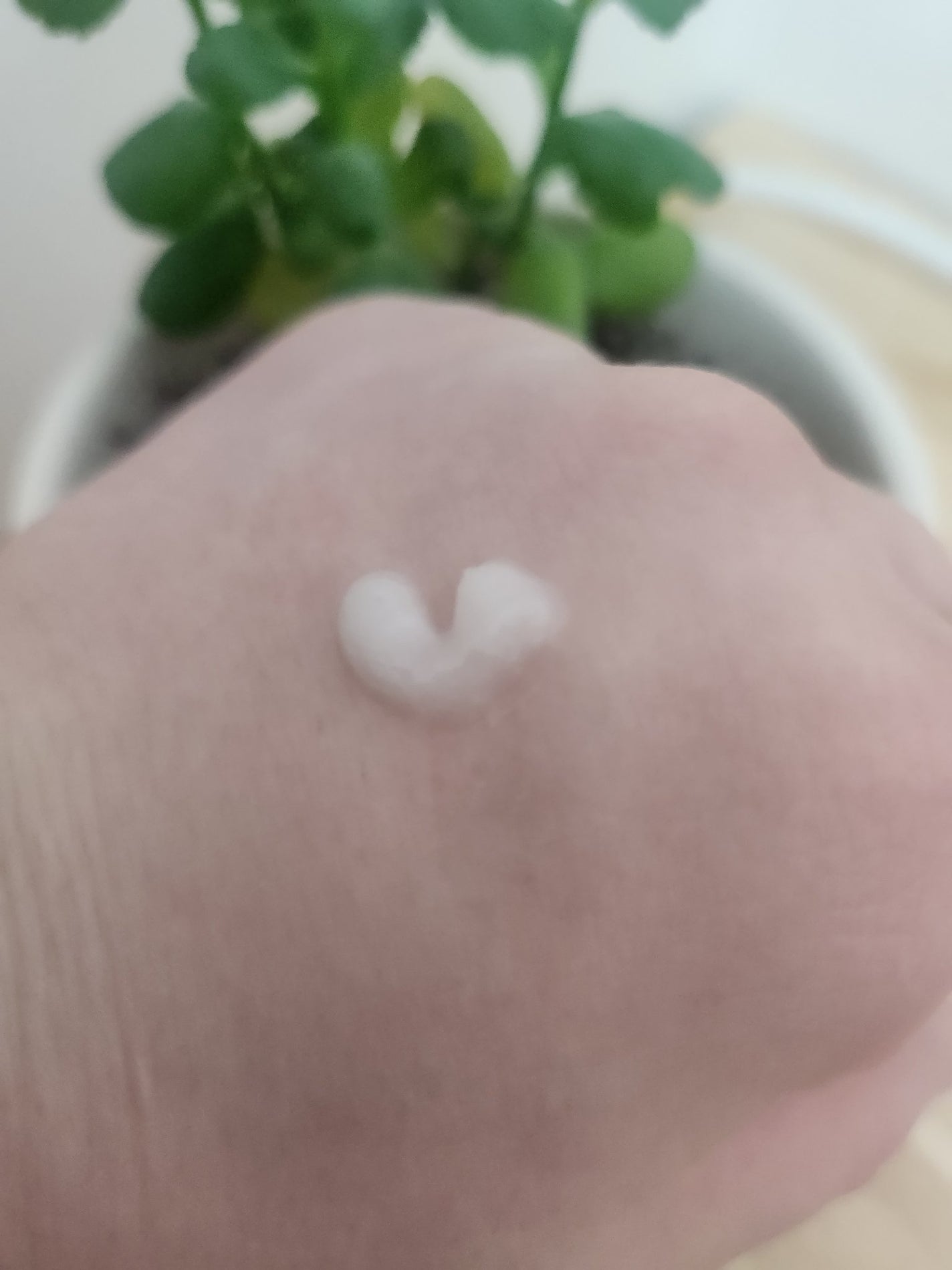 エスポア ウォータースプラッシュサンセラム/espoir/日焼け止めクリームを使ったクチコミ(2枚目)