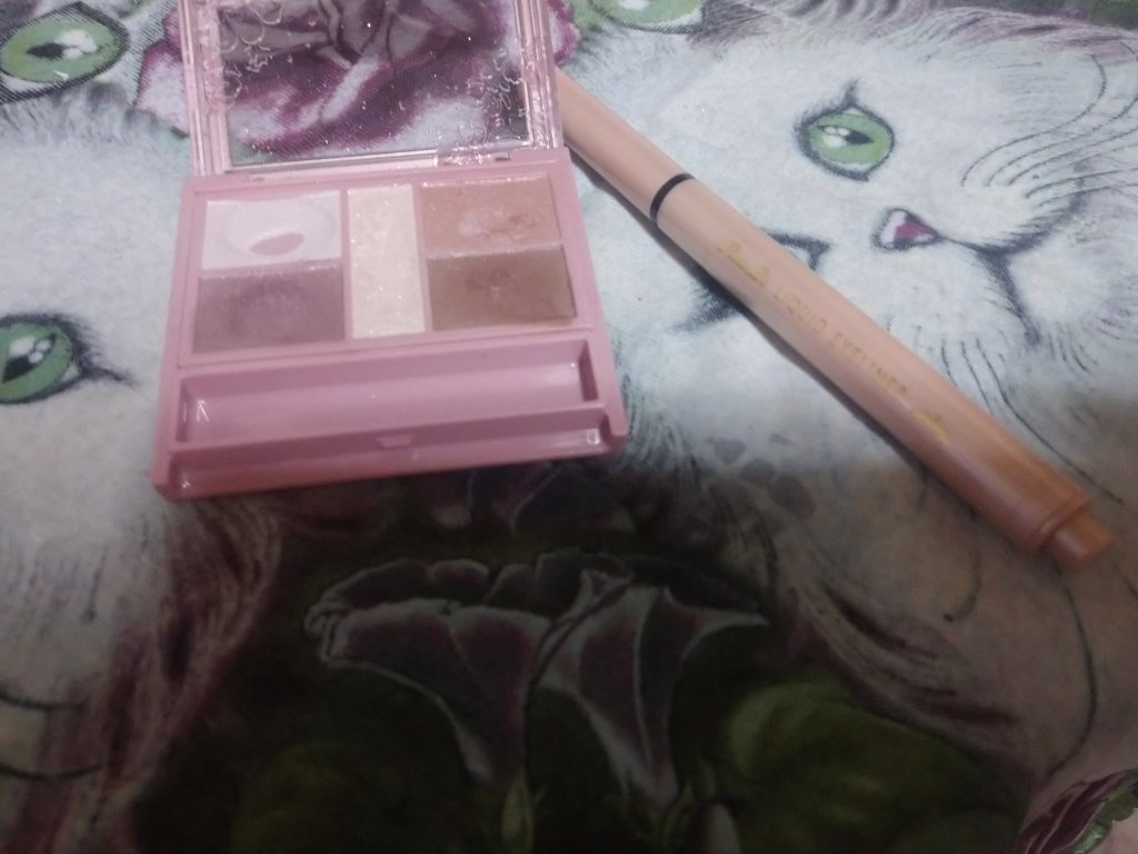 リキッドアイライナー /パラドゥ/リキッドアイライナーを使ったクチコミ（1枚目）