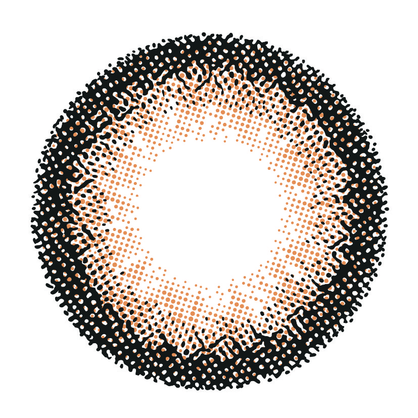 [COLOR] Preline Bran（プラリネブラン）