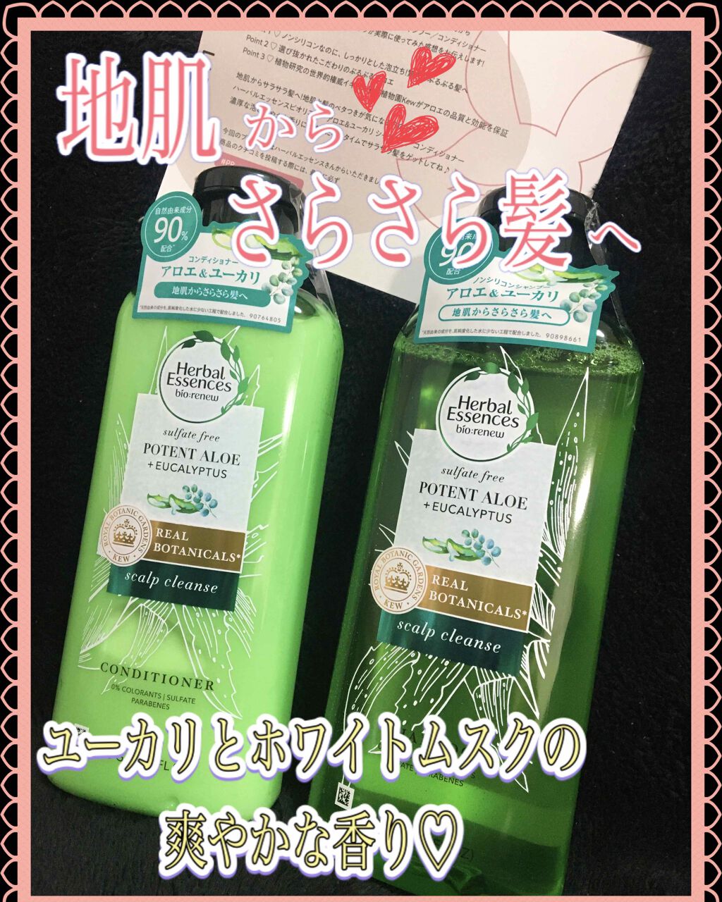 ビオリニュー アロエ＆ユーカリ シャンプー／コンディショナー/ハーバルエッセンス/市販シャンプーを使ったクチコミ（1枚目）