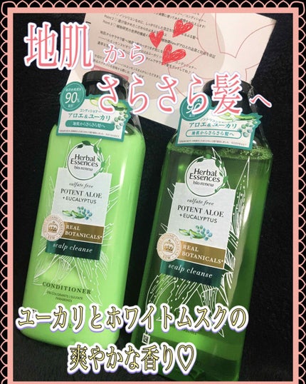ビオリニュー アロエ&ユーカリ シャンプー/コンディショナー/ハーバルエッセンス/市販シャンプーを使ったクチコミ(1枚目)