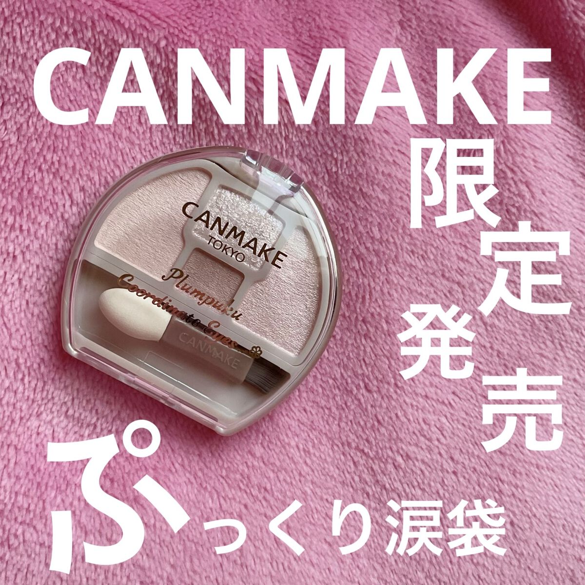 プランぷくコーデアイズ/キャンメイク/パウダーアイシャドウを使ったクチコミ（1枚目）