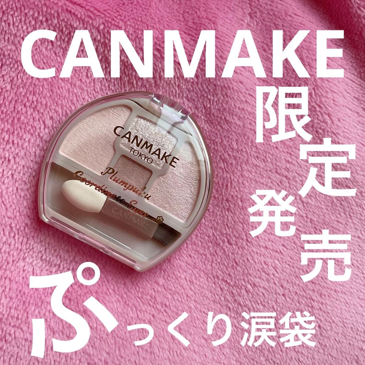 プランぷくコーデアイズ/キャンメイク/パウダーアイシャドウを使ったクチコミ(1枚目)