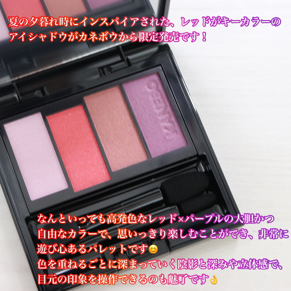 レイヤードカラーズアイシャドウ/KANEBO/アイシャドウパレットを使ったクチコミ（2枚目）