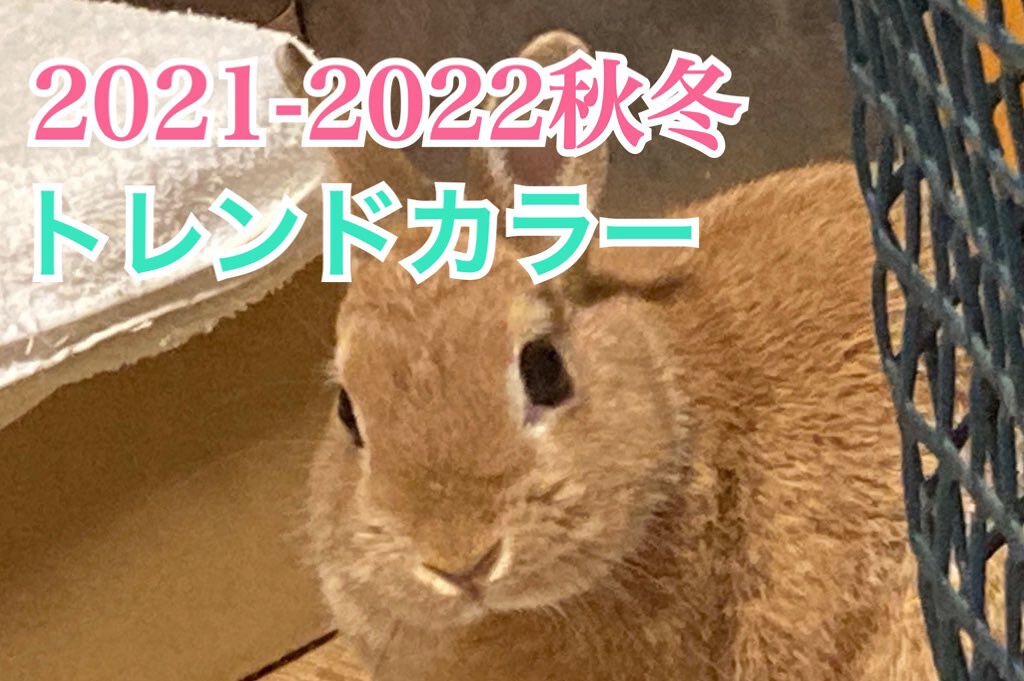 オペラ リップティント N/OPERA/リップティントを使ったクチコミ(1枚目)