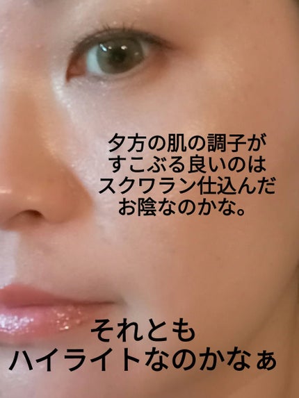 高品位「スクワラン」/HABA/フェイスオイルを使ったクチコミ(1枚目)