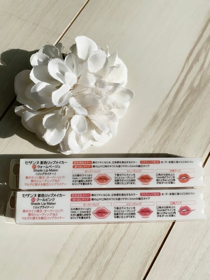 影色リップメイカー/CEZANNE/口紅・グロス・リップライナー・リップケアを使ったクチコミ(4枚目)