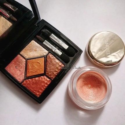 サンク クルール<ワイルド アース>/Dior/アイシャドウパレットを使ったクチコミ(1枚目)