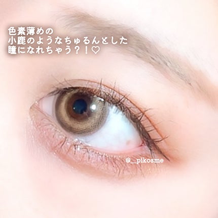 Dear Deer Kristen 1month/Hapa kristin/ワンデー(1DAY)カラコンを使ったクチコミ(5枚目)