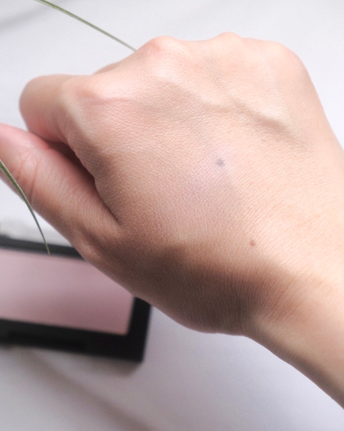 ブラーフィニシュブラッシャー/Dinto/パウダーチークを使ったクチコミ(4枚目)